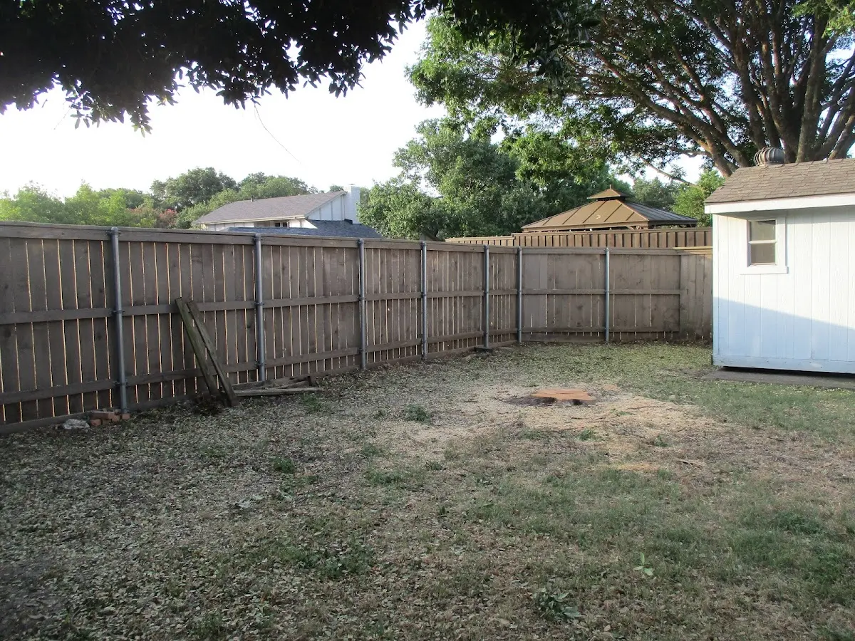 Cleared yard after professional tree removal in Danielsville